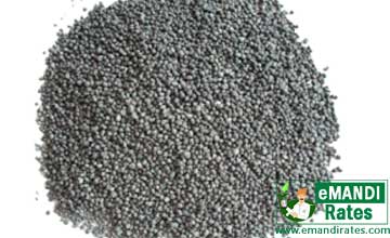 DAP and SSP Fertilizer Who is Better in Manure