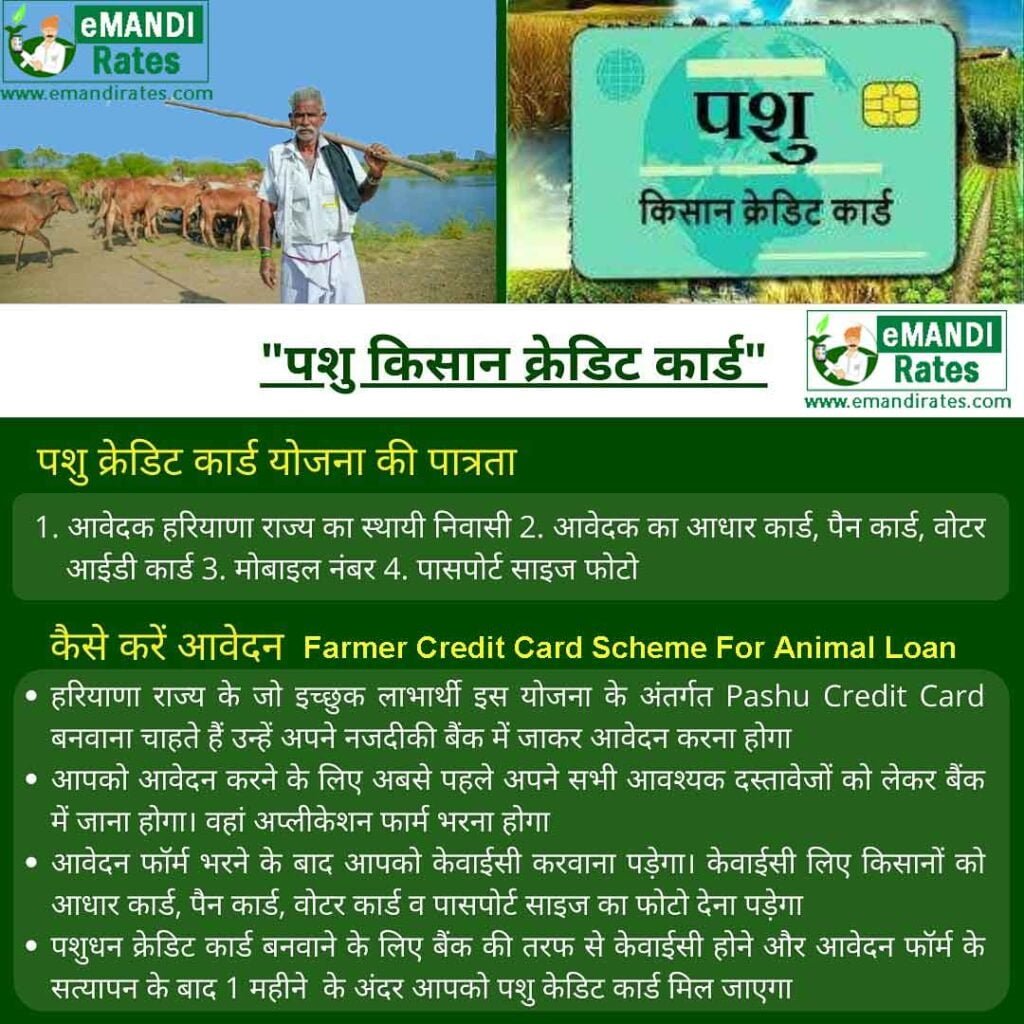 Pashu Kisan Credit Card Yojana in Haryana