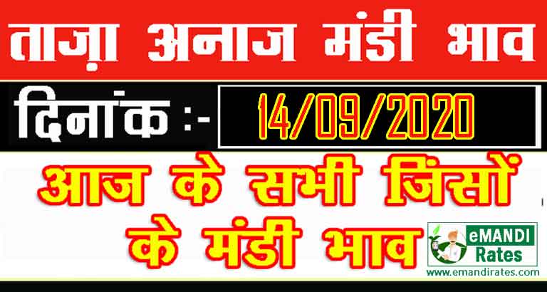 मंडी भाव 14 सितंबर