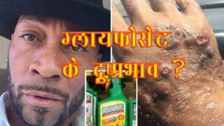 Side effects of Glyphosate in Hindi