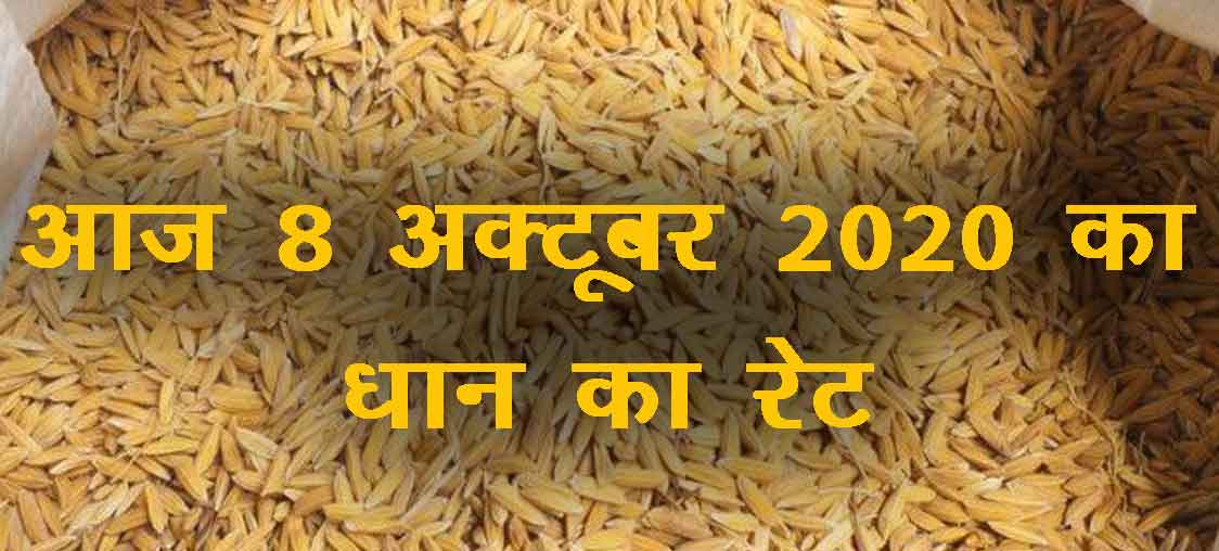 red chief jute ka rate