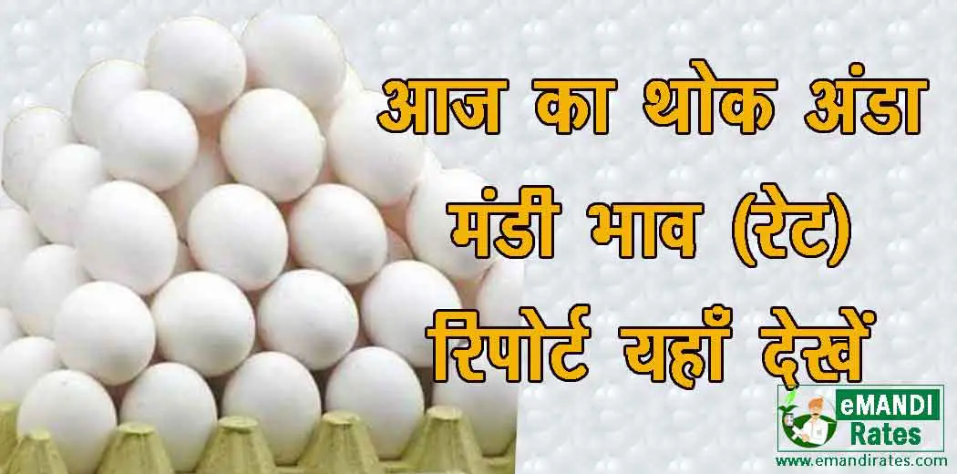 NECC Egg Rate Today July 13, 2024 Ande Ka Mandi Bhav, आज का अंडे का