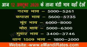Mandi Bhav Today 12-10-2020