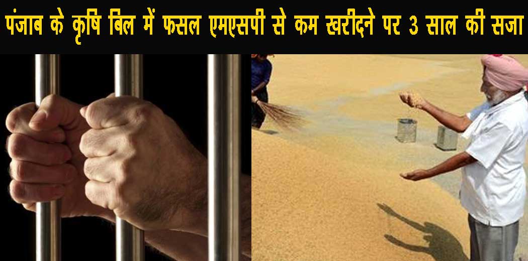 कृषि विधेयक पंजाब: किसानों से अब MSP से कम कीमत पर धान व गेहूं खरीद करने पर होगी तीन साल की सजा