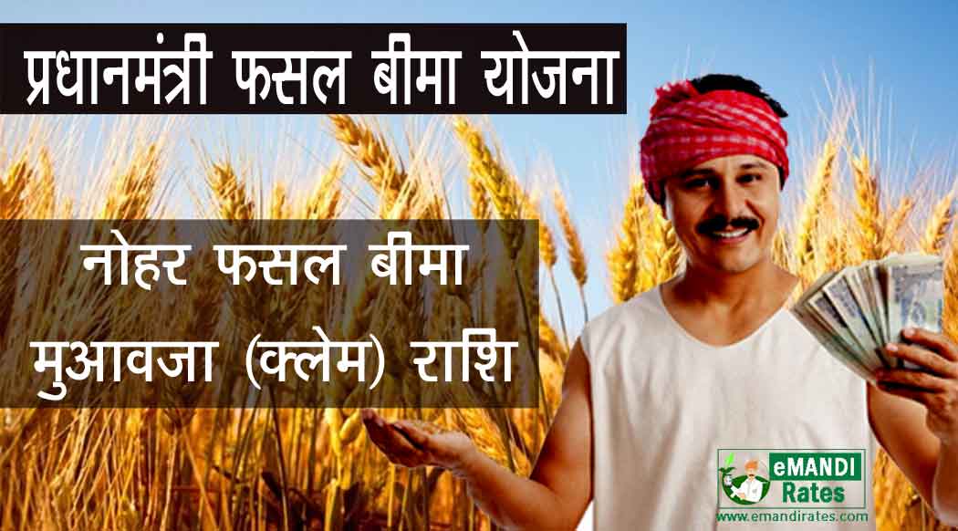 नोहर फसल बीमा क्लेम लिस्ट
