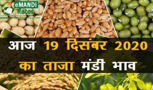 अनाज मंडी भाव 19 दिसंबर 2020