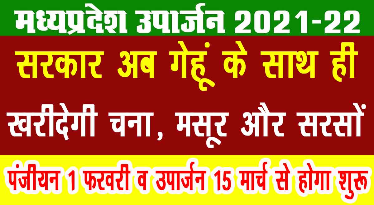 एमपी में गेहूं चना मसूर सरसों खरीद एक साथ शुरू होगी