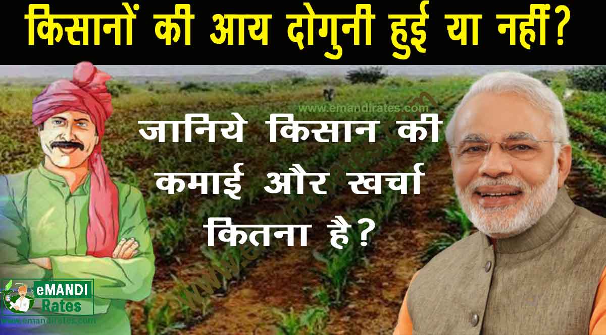 Farmers income in India: किसानों की आय दोगुनी हुई या नहीं