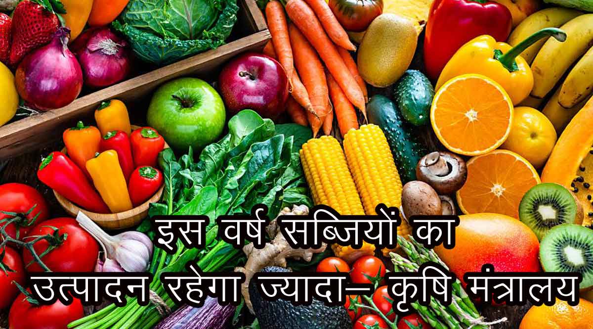 सब्जियों का उत्पादन