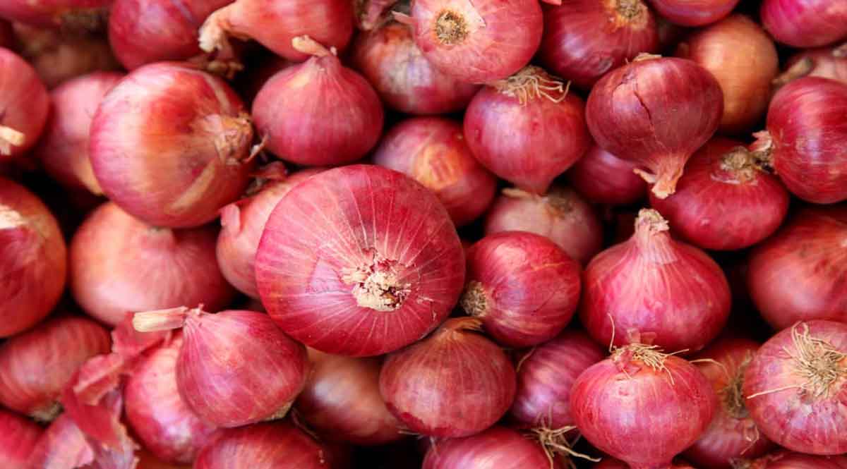 प्याज की खरीद