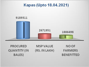 Kapas Procurement 2021