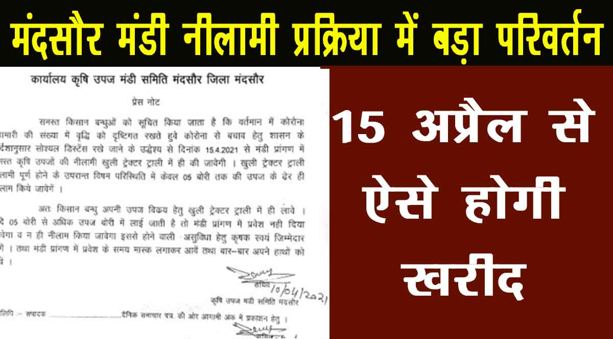 Mandsaur Mandi Latest News