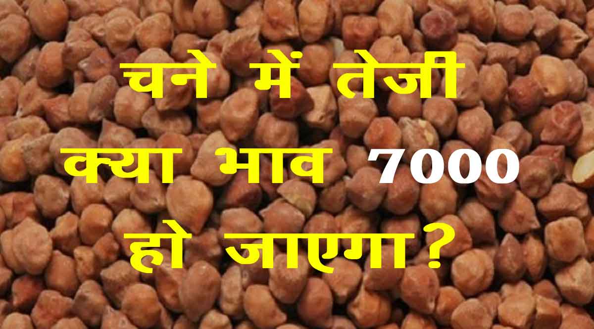 chana bhav