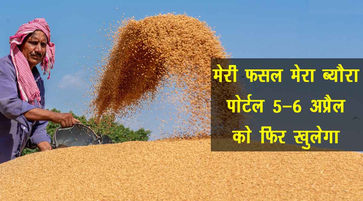 meri fasal mera byora portal re-open on 5-6 April rabi crops procurement