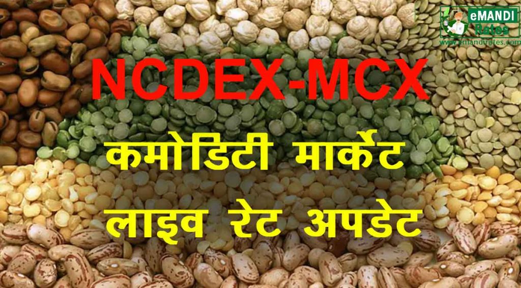 NCDEX Live Watch Free Live Commodities Rate 24 Rate Net Live NCDEX