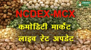NCDEX MCX 24 January: कॉटन में तेजी, ग्वार में गिरावट | Commodity Market Today live Update
