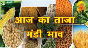 मंडी भाव 24 मई 2021