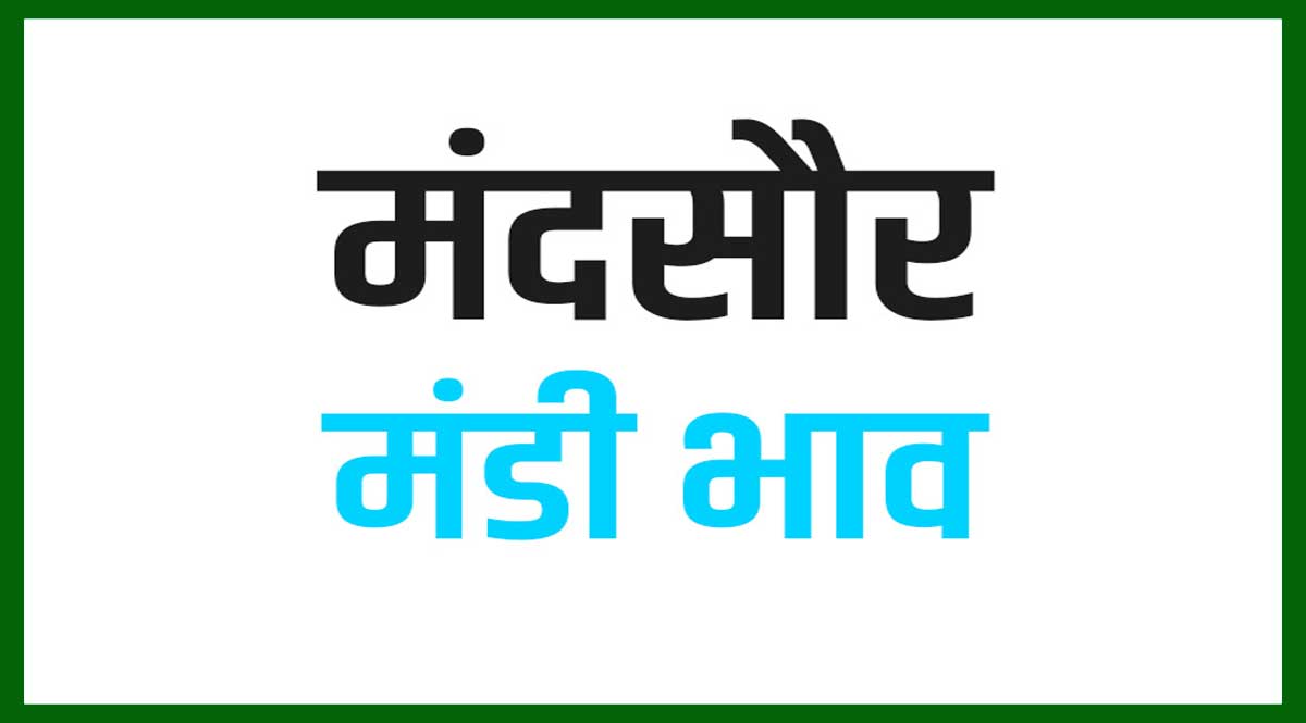 Mandsaur Mandi Bhav Today 2023