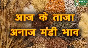 मंडी भाव 01 जून 2021