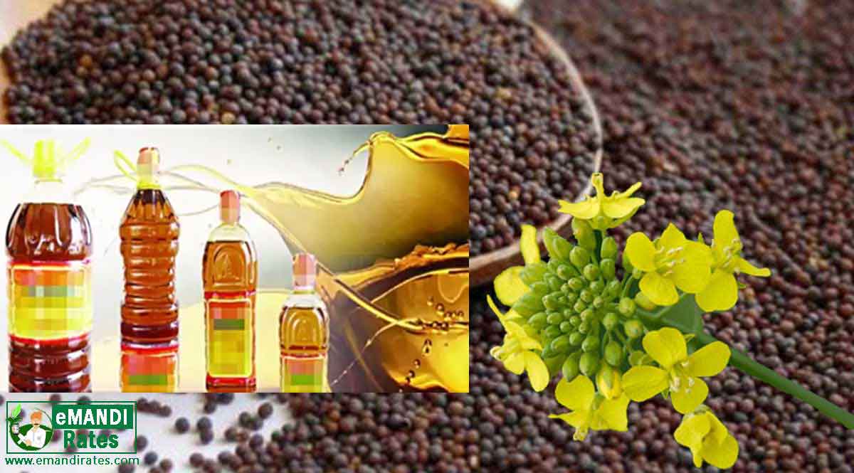 सरसों मंडी भाव 06 जुलाई 2021