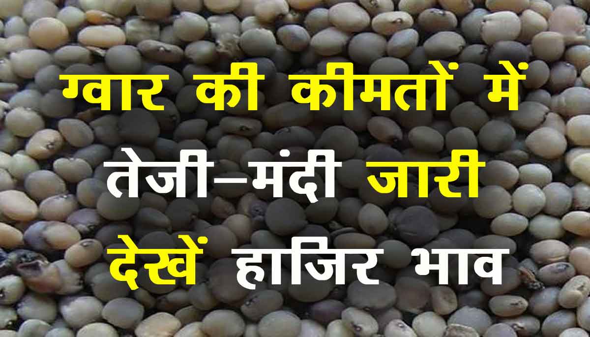 ग्वार मंडी भाव 26 अगस्त 2021