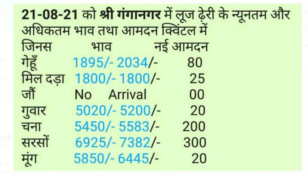 sri ganganagar Mandi bhav 21 august 2021
