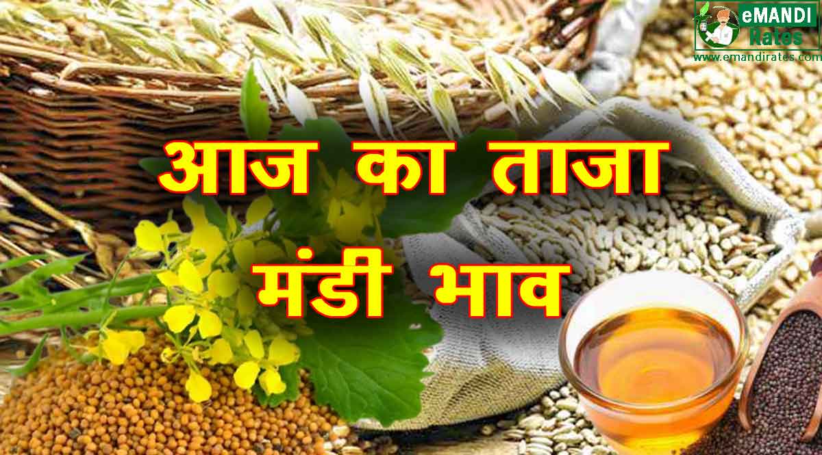 मंडी भाव 18 अगस्त 2021