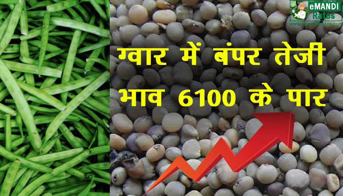 guar ka bhav mandi online today 2021