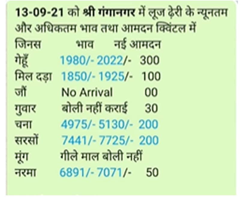 Sri Ganganagar Mandi Bhav 13 September