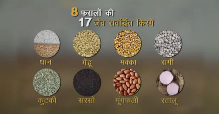 pm modi launches 35 varieties of crops