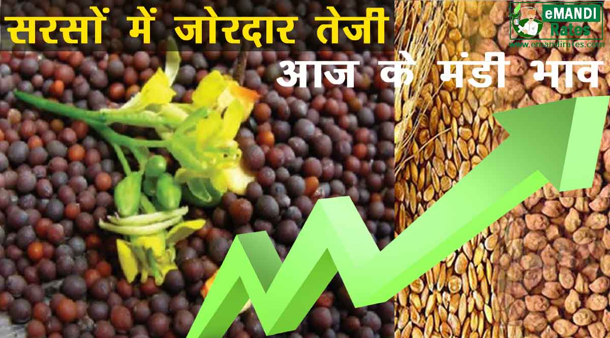 मंडी भाव 03 सितम्बर 2021: