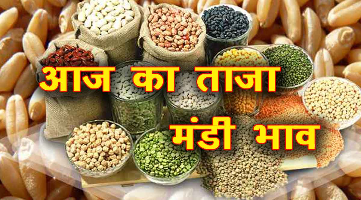 अनाज मंडी भाव 16 सितंबर 2021