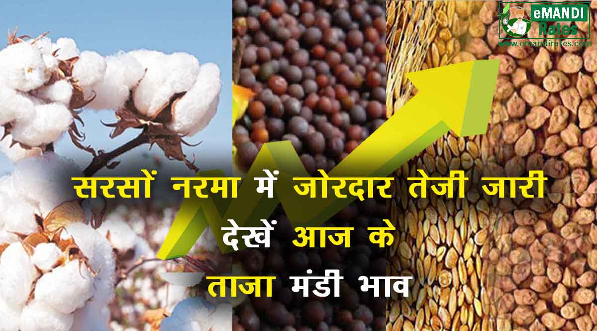 अनाज मंडी भाव 04 सितम्बर 2021