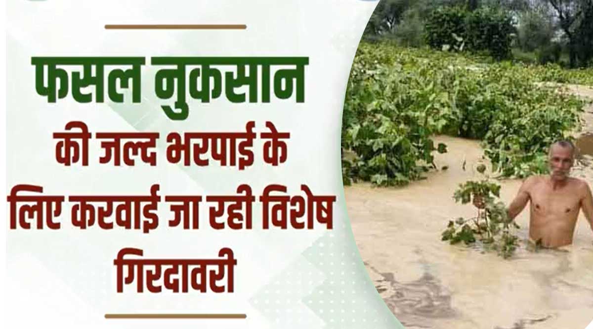 compensation for crop damage in haryana