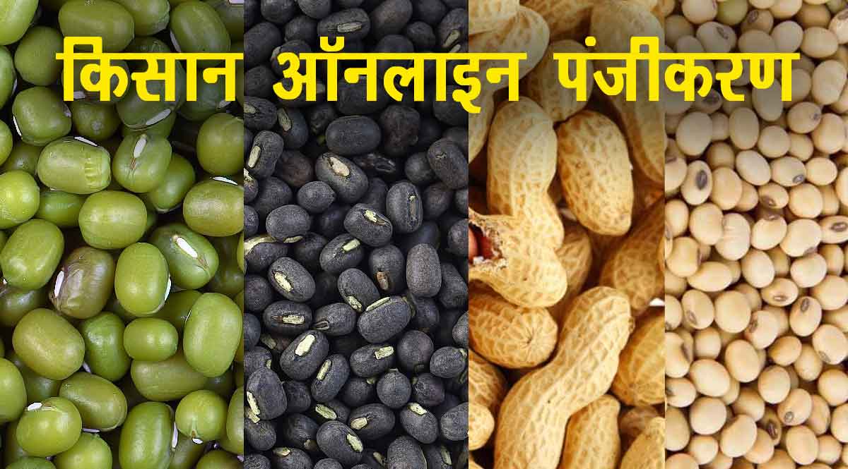 Rajfed Registration Purchase of Moong, Urad, Soybean and Peanuts at support price