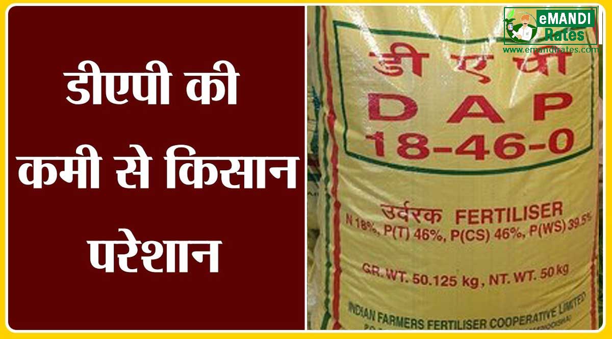 DAP खाद की कमी
