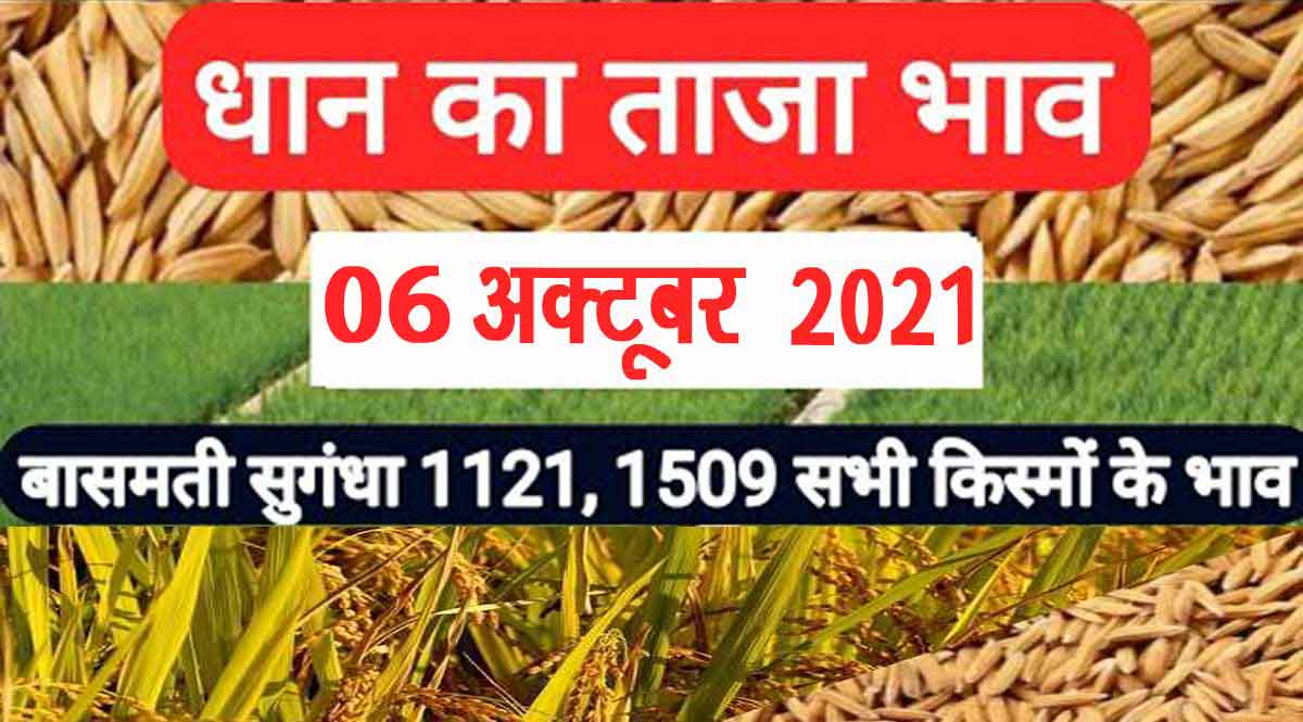 धान का रेट 06-10-2021
