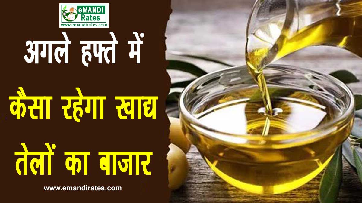 edible edible oil price news in hindioil price news