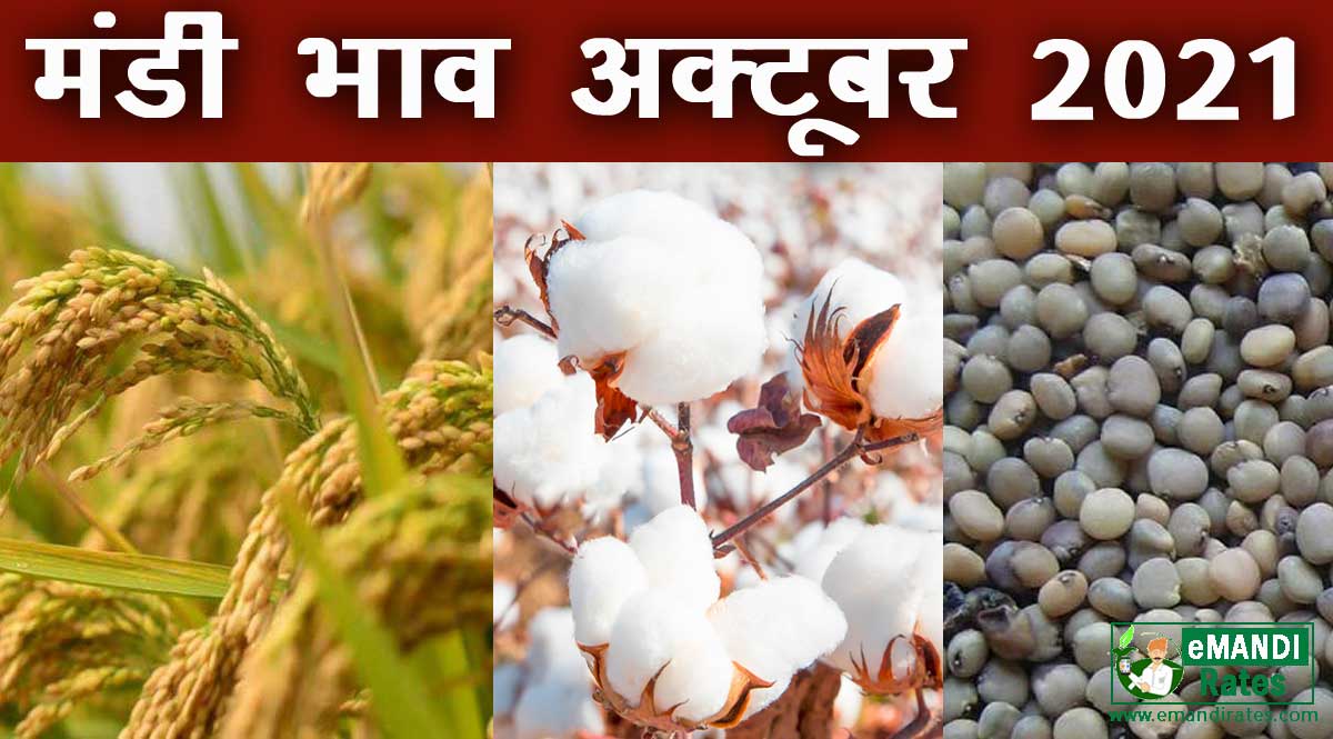 Today Anaj Mandi Bhav October 2021