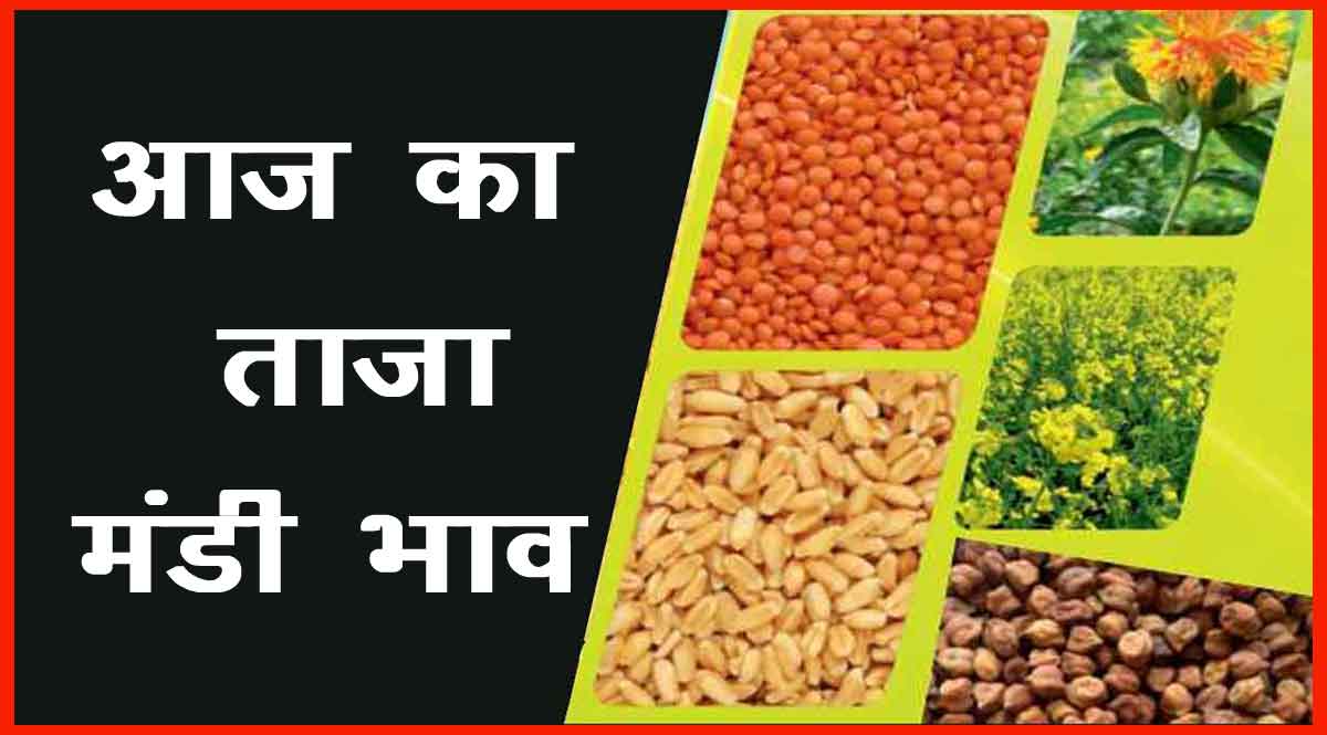 मंडी भाव 05 अक्टूबर 2021