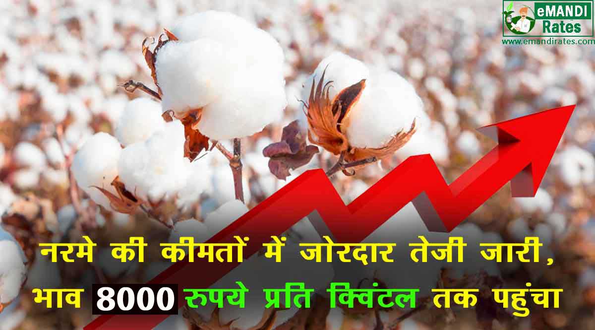 मंडी भाव 06 अक्टूबर 2021