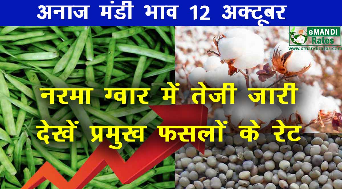 मंडी भाव 12 अक्टूबर 2021