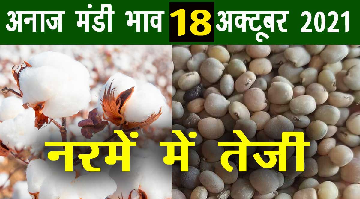 मंडी भाव 18 अक्टूबर 2021