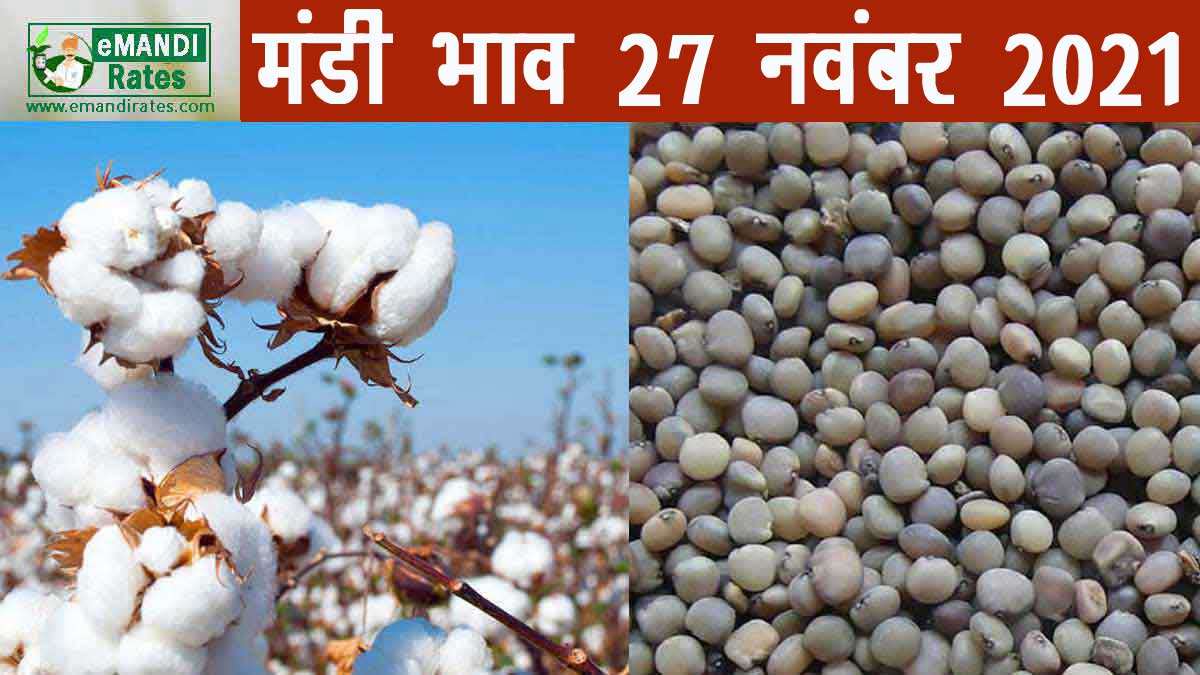 मंडी भाव 27 नवंबर 2021