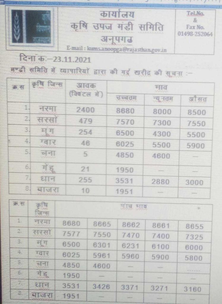 Anoopgarh mandi bhav today