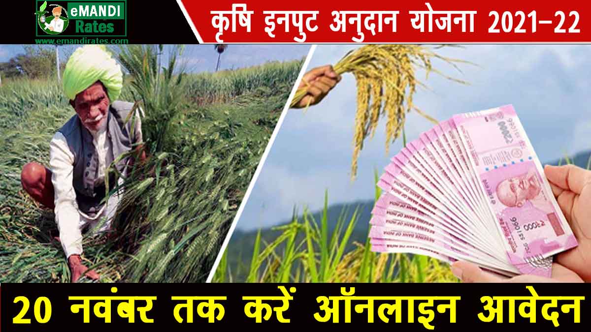 Krishi Input Anudan 2021