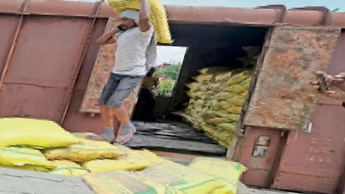dap Fertilizer In Hanumangarh