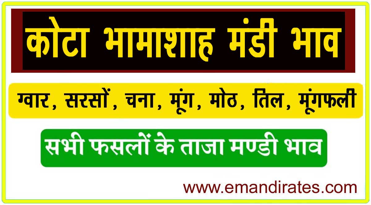 Kota Mandi Bhav Today