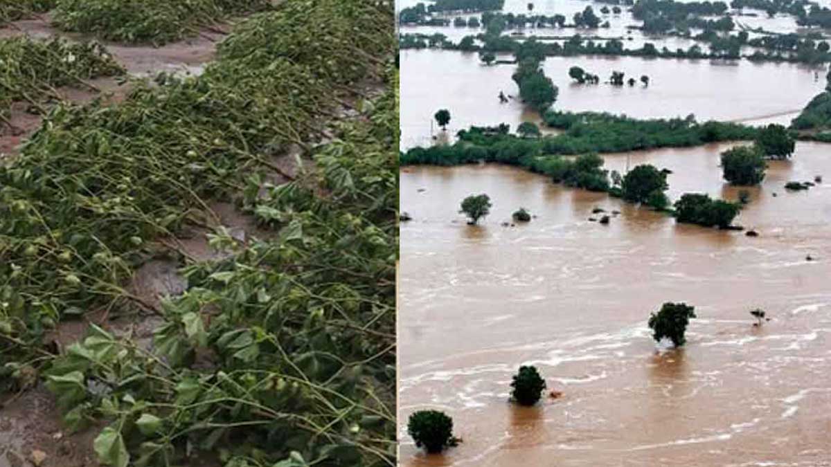 rajasthan heavy rains and floods 2021