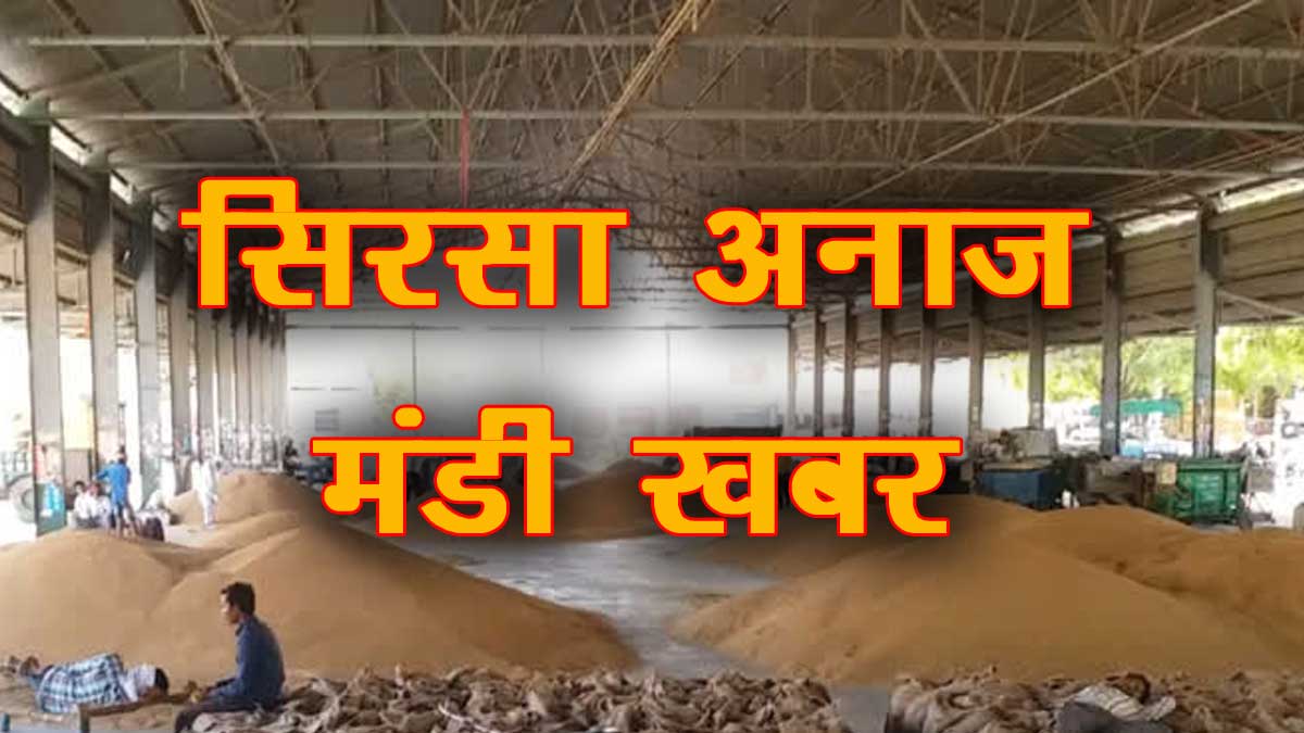 Sirsa Mandi Khabar